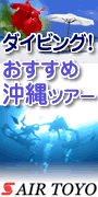 (株) エアートーヨー