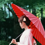 花・新緑・紅葉・雪景色【四季折々、京都の旅】