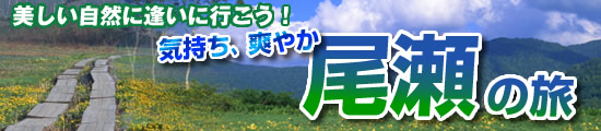 尾瀬格安ツアー【気持ち、爽やか　尾瀬の旅】