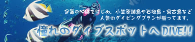 もっと格安ダイビング【憧れのダイビングスポットへDIVE!!】