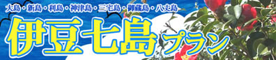 夏は南へ【マリンリゾート伊豆七島】